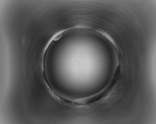 X0000086791148200704201838
