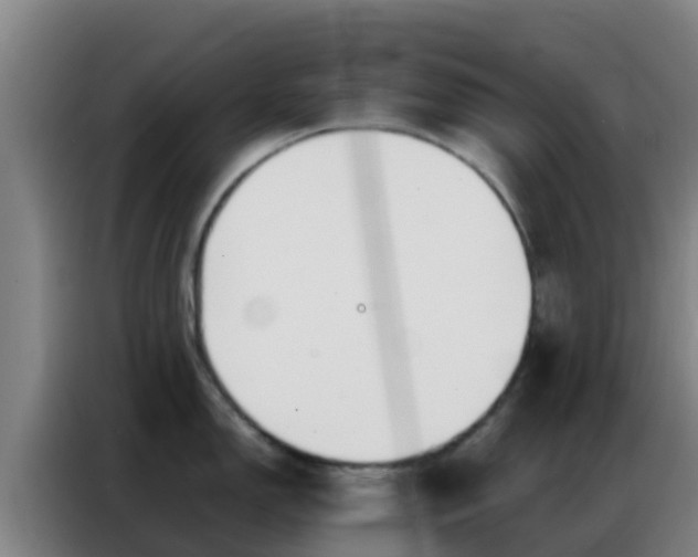 X0000086791150200704201839