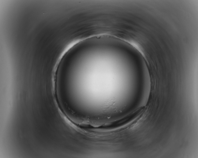 X0000086791151200704201839