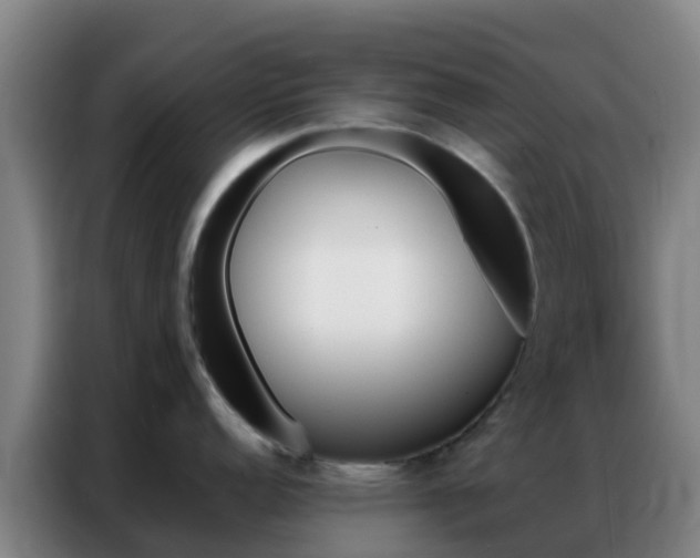 X0000086791152200704201839