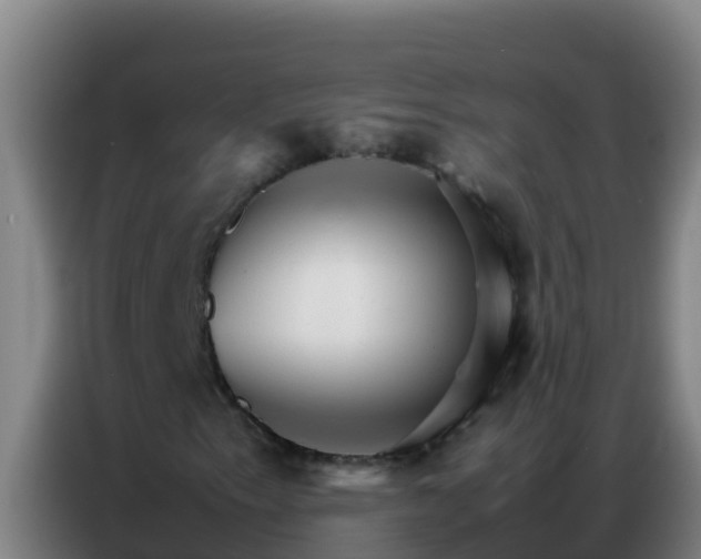X0000086791153200704201838