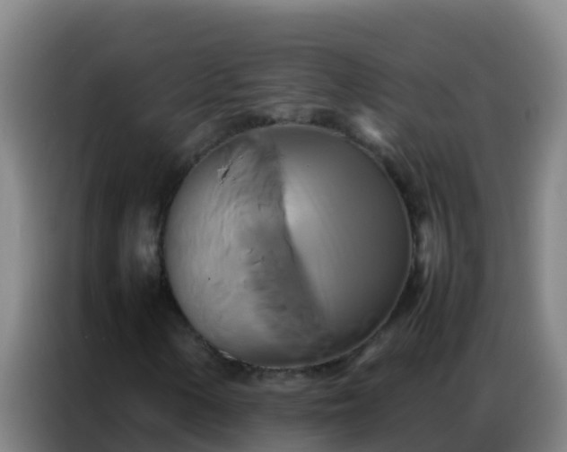 X0000086791154200704201838