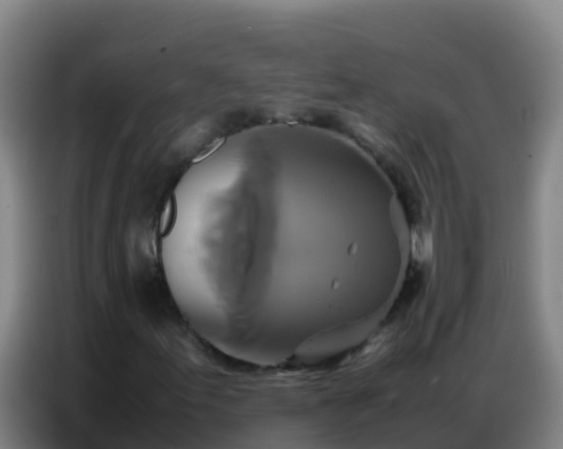 X0000086791155200704201838