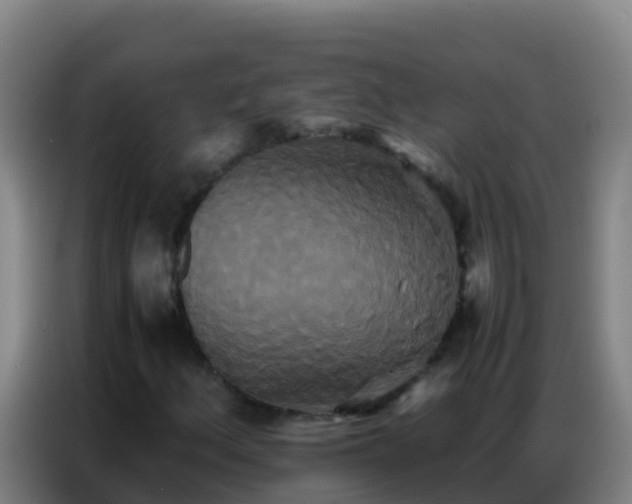 X0000086791156200704201838