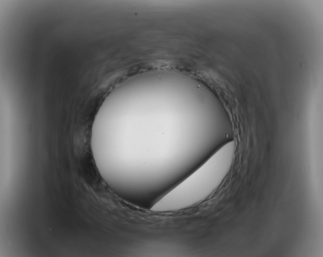 X0000086791157200704201838
