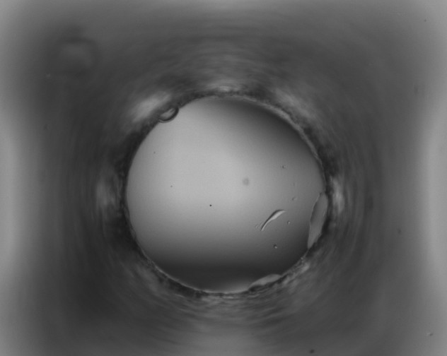 X0000086791158200704201838