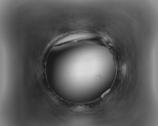 X0000086791160200704201838