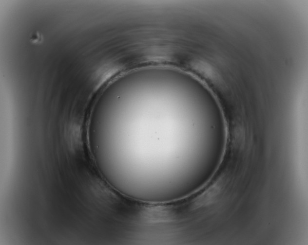 X0000086791162200704201838
