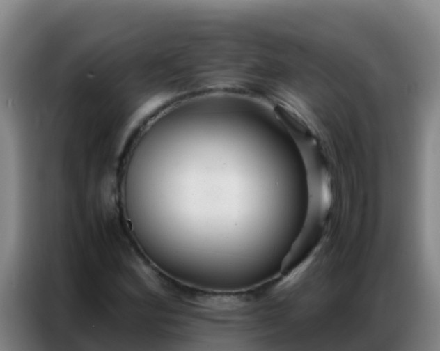 X0000086791164200704201838