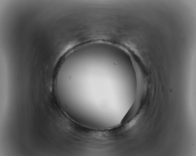 X0000086791165200704201838