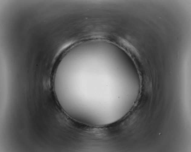 X0000086791166200704201838