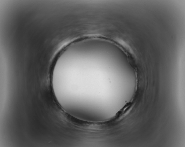 X0000086791167200704201838