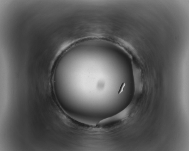 X0000086791168200704201838