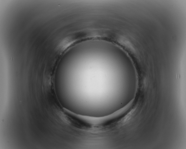 X0000086791169200704201838