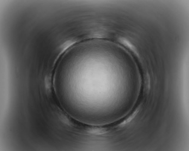 X0000086791170200704201838