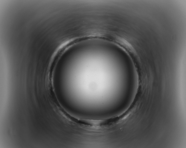 X0000086791172200704201838
