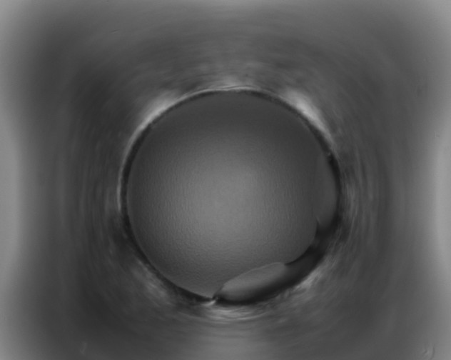 X0000086791173200704201838