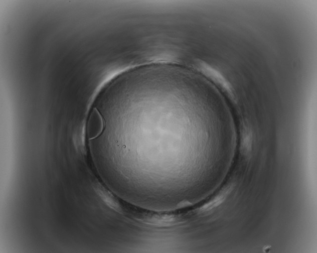 X0000086791174200704201838