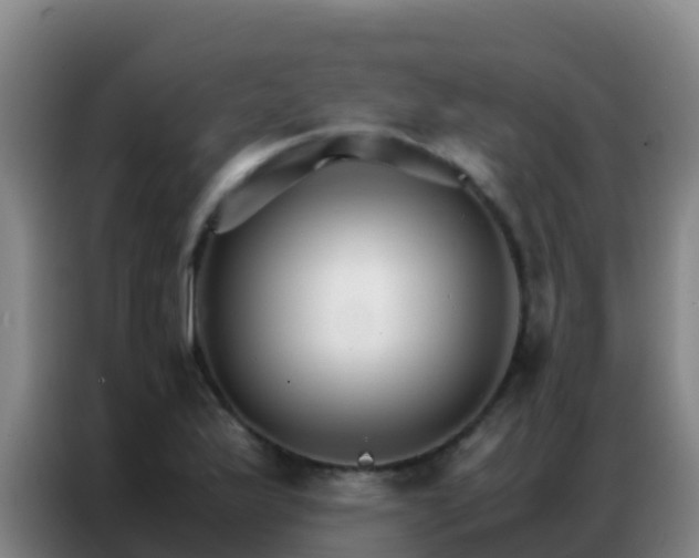 X0000086791175200704201838