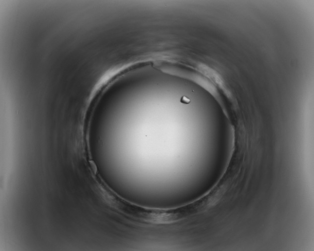 X0000086791176200704201838