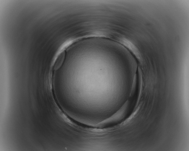 X0000086791180200704201838