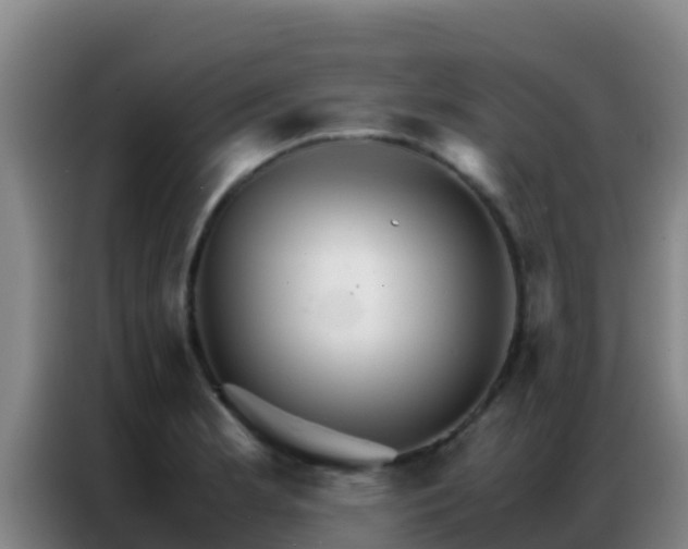 X0000086791181200704201838