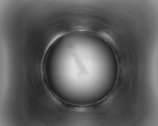 X0000086791182200704201838