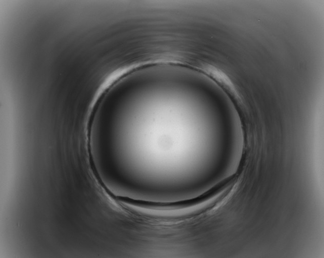 X0000086791184200704201838