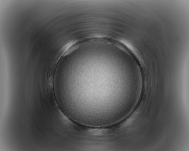 X0000086791185200704201838