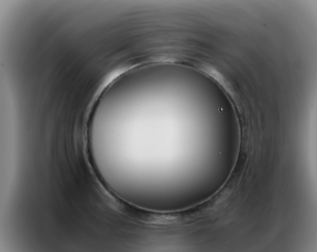 X0000086791187200704201838