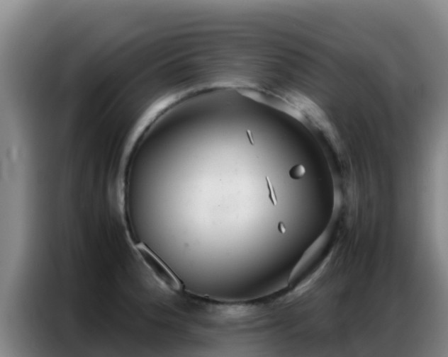 X0000086791188200704201837