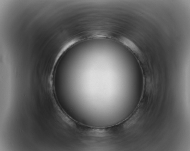 X0000086791190200704201837
