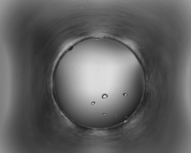 X0000086791191200704201837