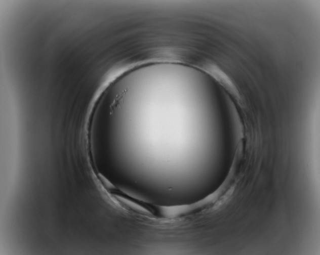 X0000086791192200704201837