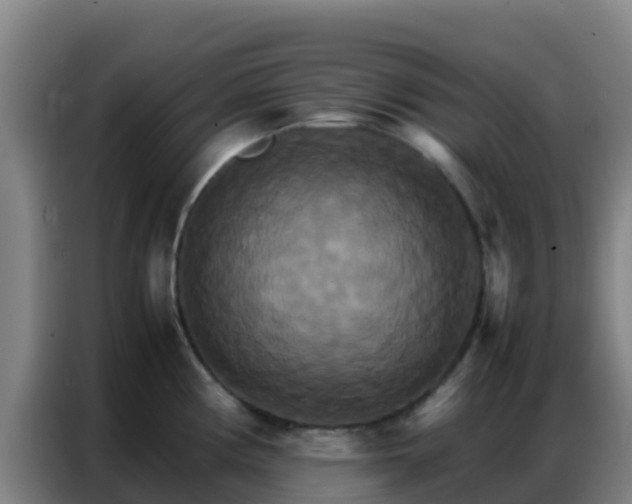X0000086791194200704201837