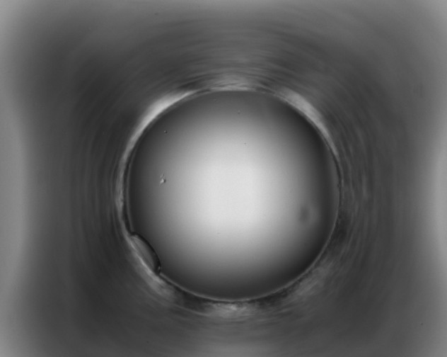 X0000086791195200704201837