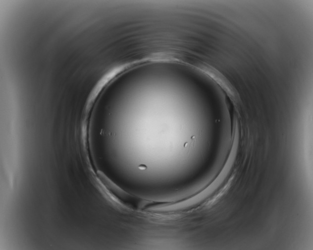 X0000086791196200704201837