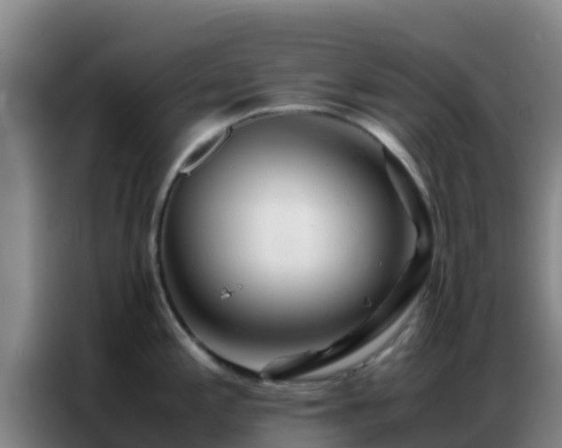 X0000086791197200704201837