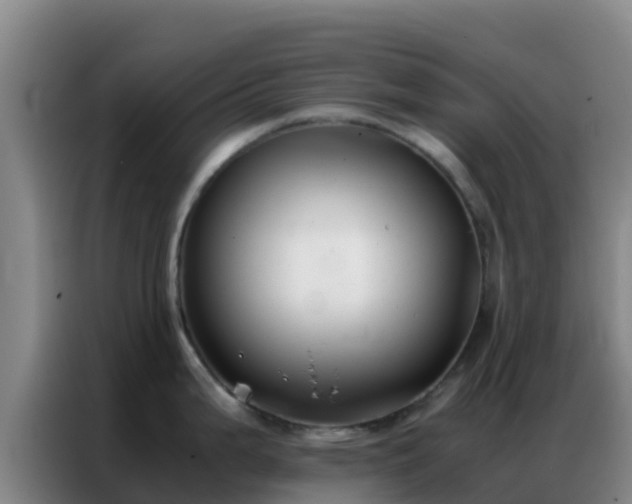 X0000086791199200704201837