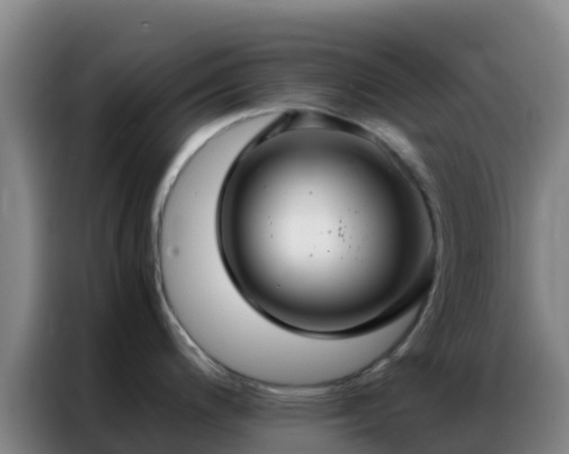 X0000086791200200704201837