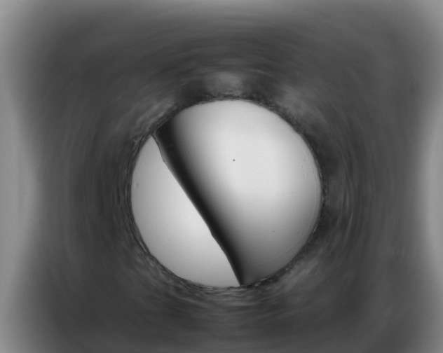 X0000086791201200704201837