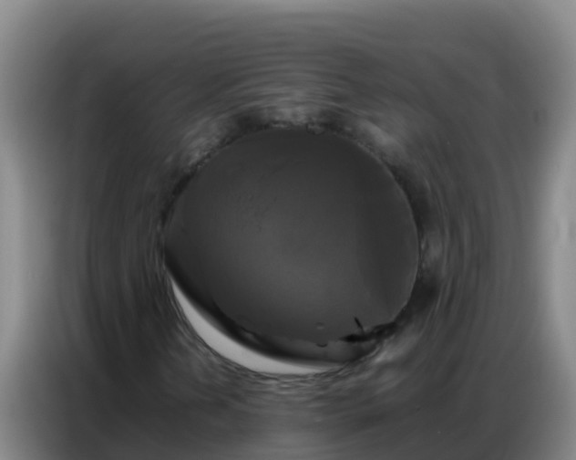 X0000086791202200704201837