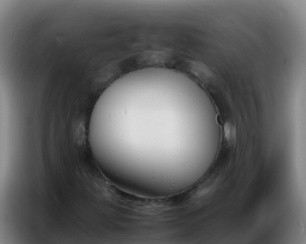 X0000086791203200704201837