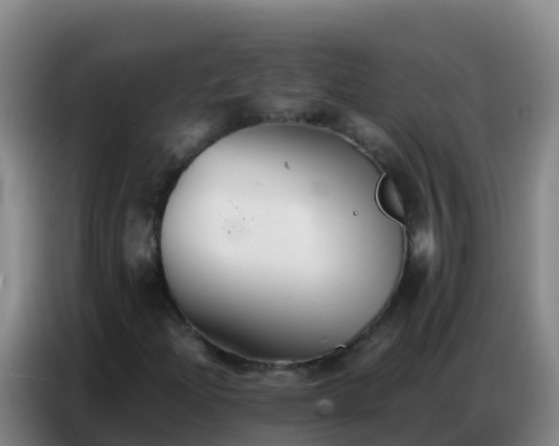 X0000086791204200704201837