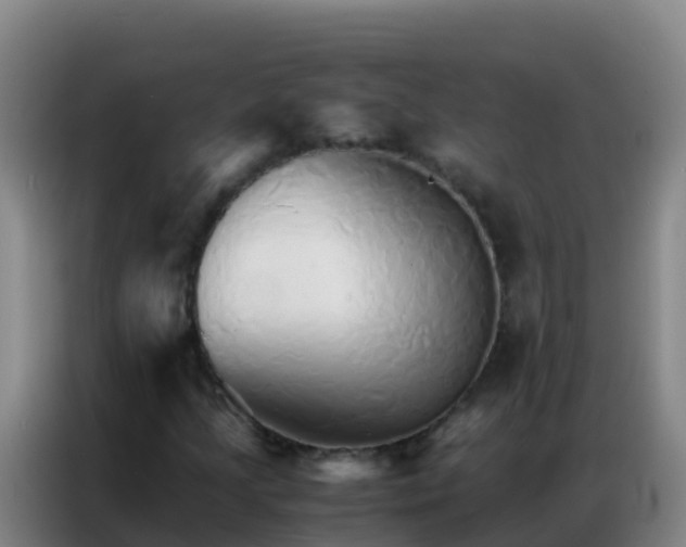 X0000086791205200704201837