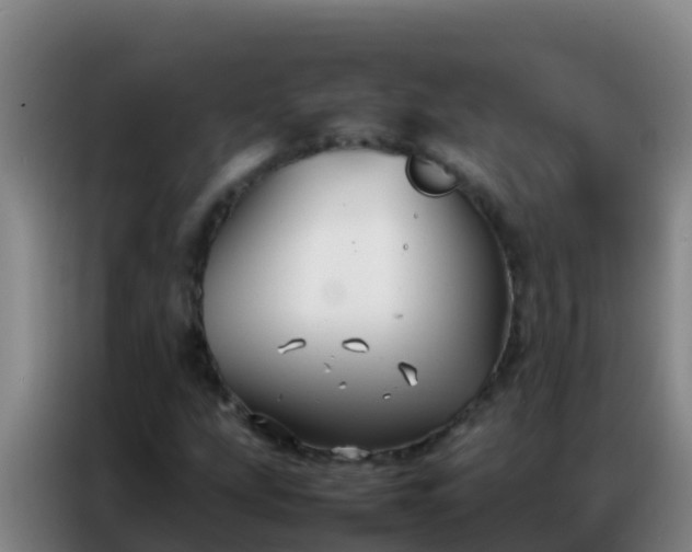 X0000086791207200704201837