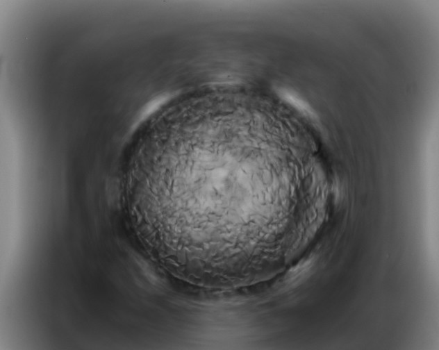 X0000086791208200704201837