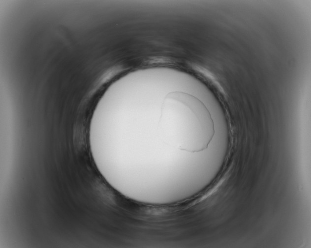 X0000086791211200704201837