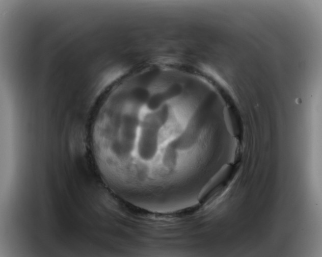 X0000086791213200704201837