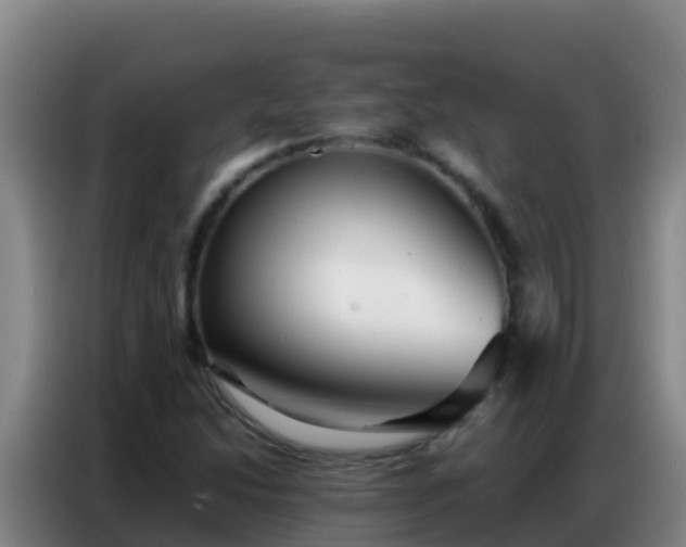 X0000086791214200704201837